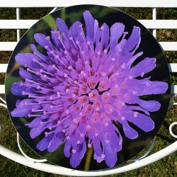 Circular placemat for sale