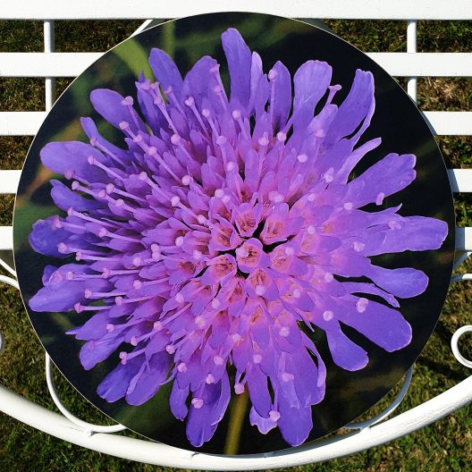 Circular placemat for sale