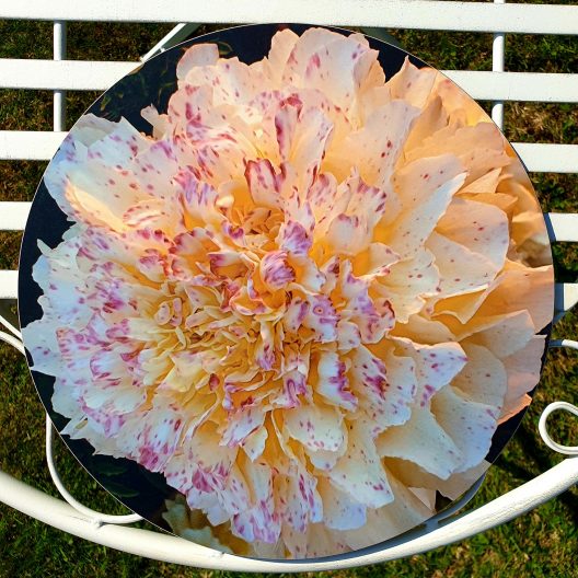 Round Rena Beatrice placemat for sale
