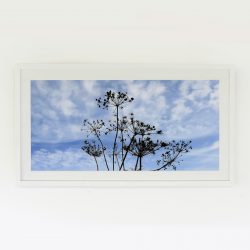 Rena Beatrice photographic wall art for sale