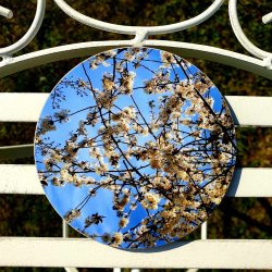 Circular coaster for sale