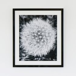 Rena Beatrice Norfolk Inspired Wall Art for sale