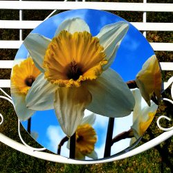 Circular placemat for sale