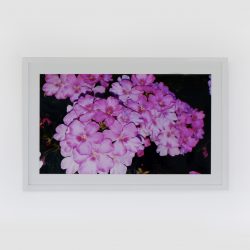 Rena Beatrice Norfolk Inspired Wall Art for sale