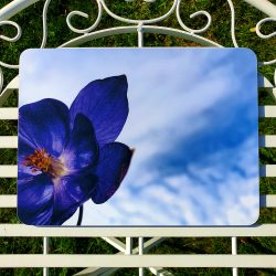 Placemat for sale