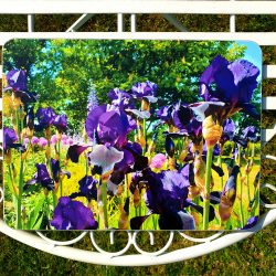 Vibrant placemat for sale