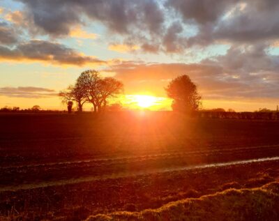 Late afternoon sunset